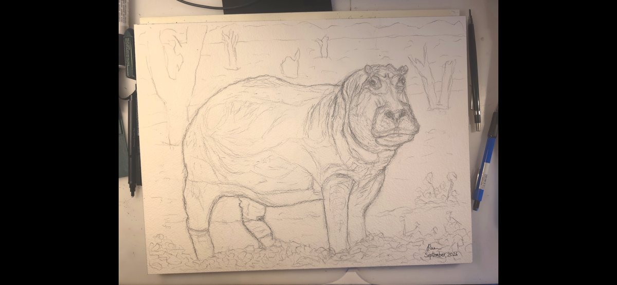 "A Hippo by the Water"