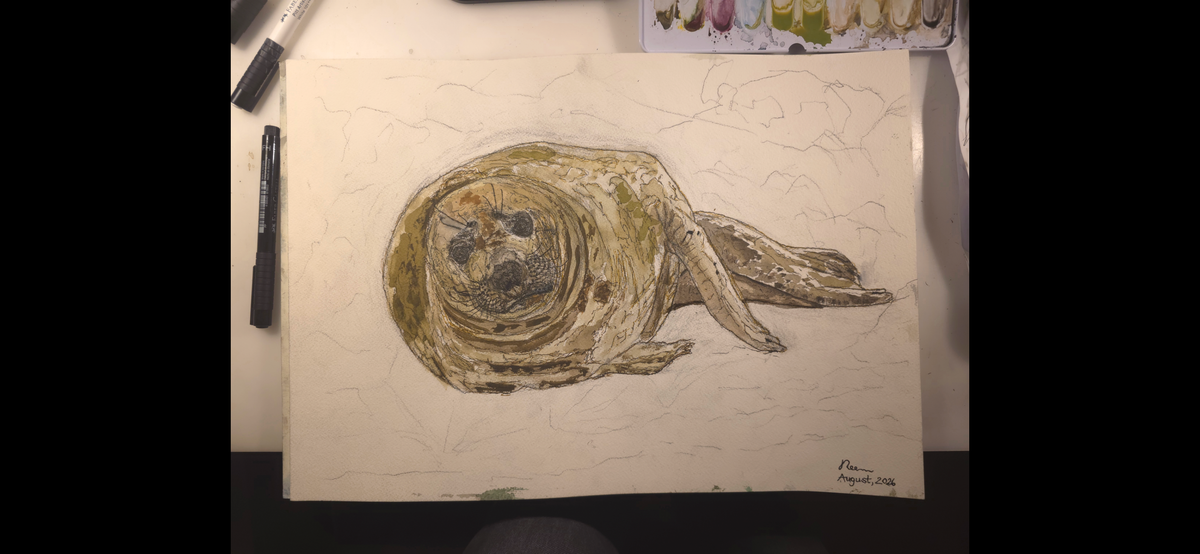 "A Seal at the Seashore" - an original mixed-media painting