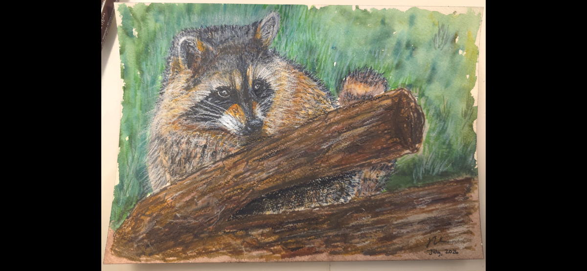 "A Racoon Hiding" - an original mixed-media painting