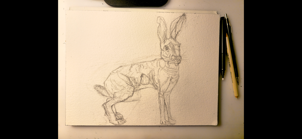 "A Hare in the Dark" - an original mixed-media painting