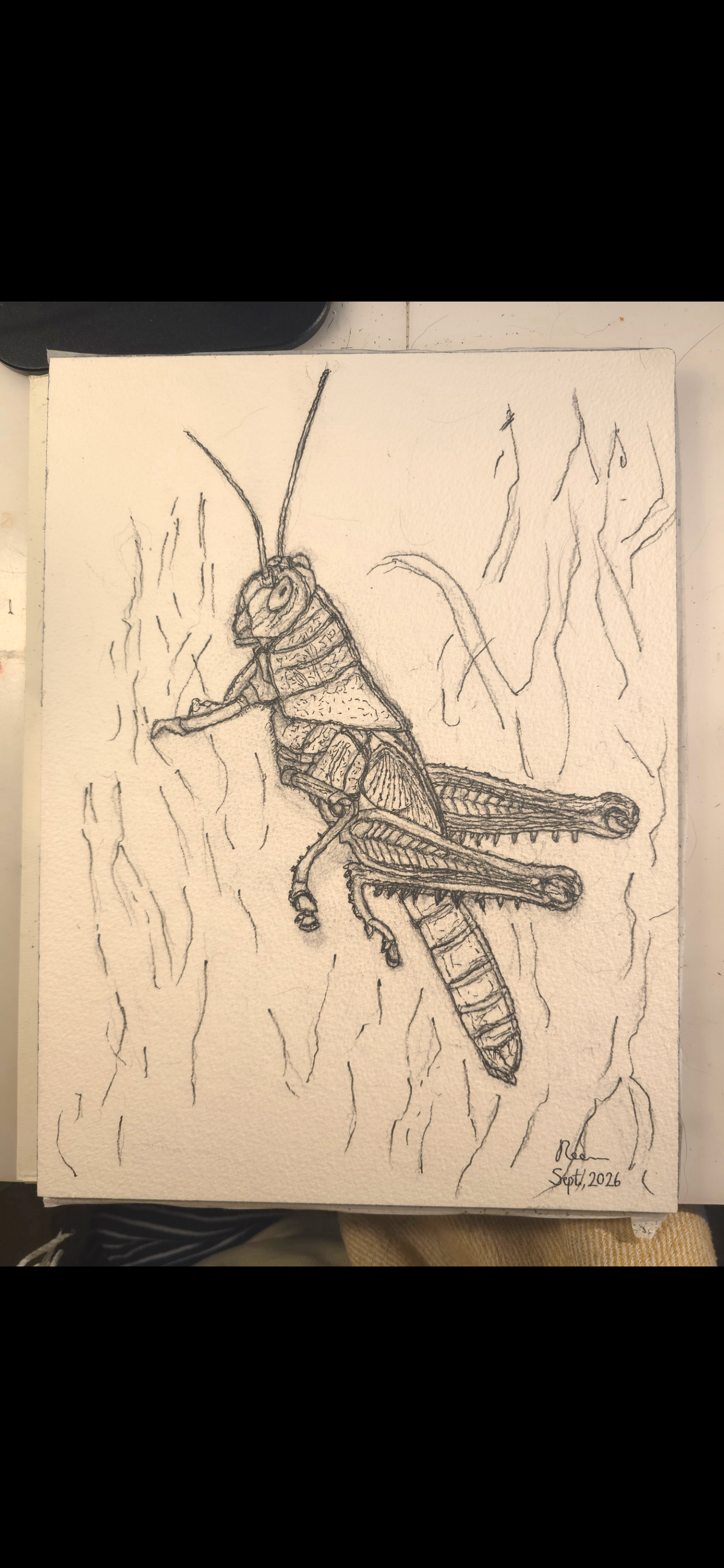 "A Grasshopper" - original mixed-media painting
