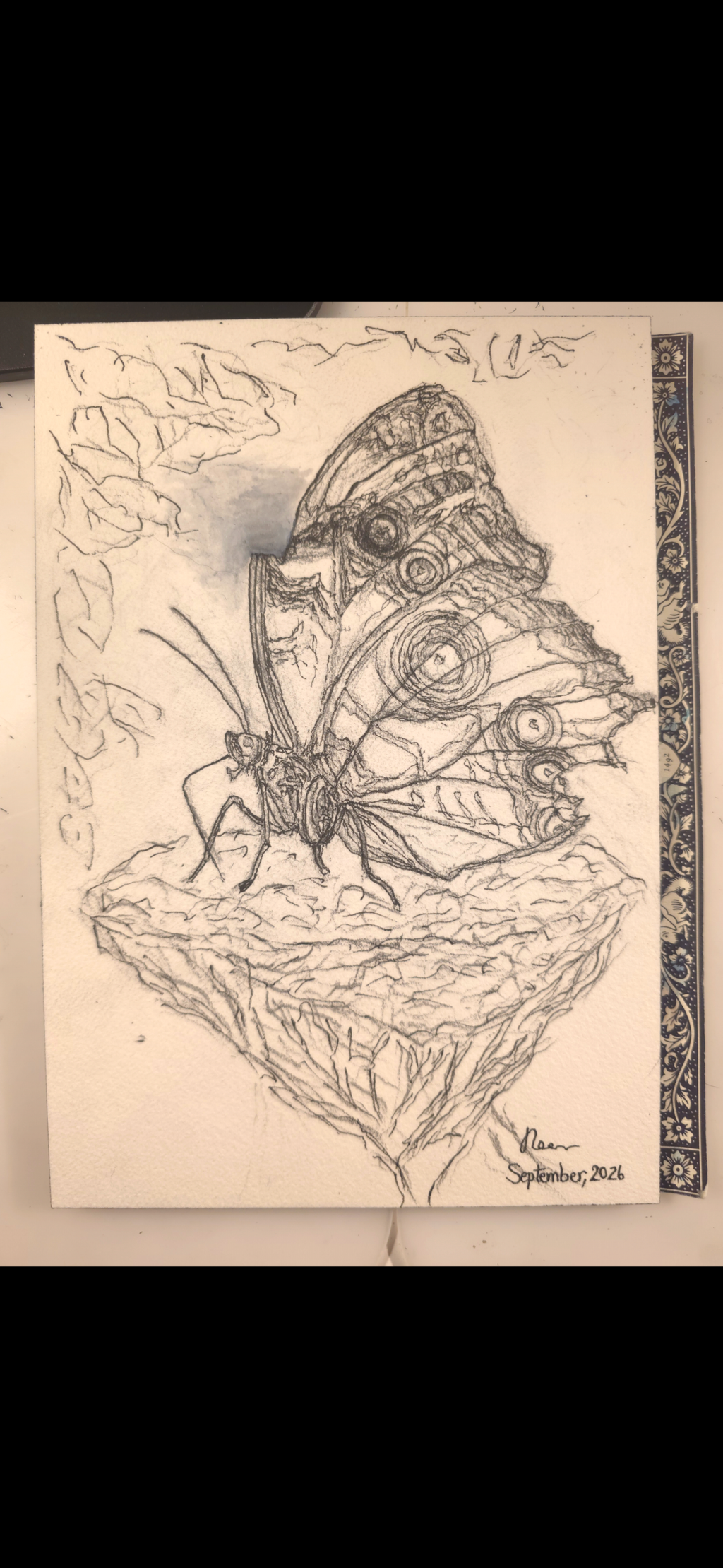 "A Butterfly in the Dark" - an original mixed-media painting