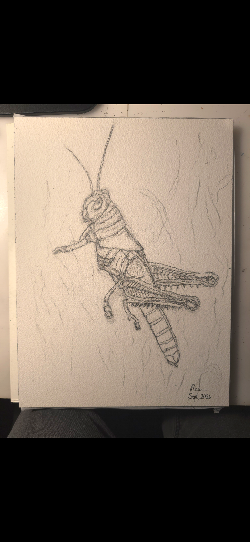 "A Grasshopper" - original mixed-media painting
