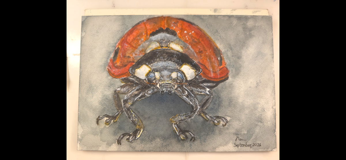 "A Ladybird in the Dark" - an original mixed-media painting