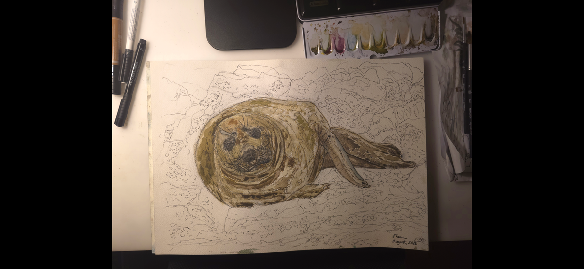 "A Seal at the Seashore" - an original mixed-media painting