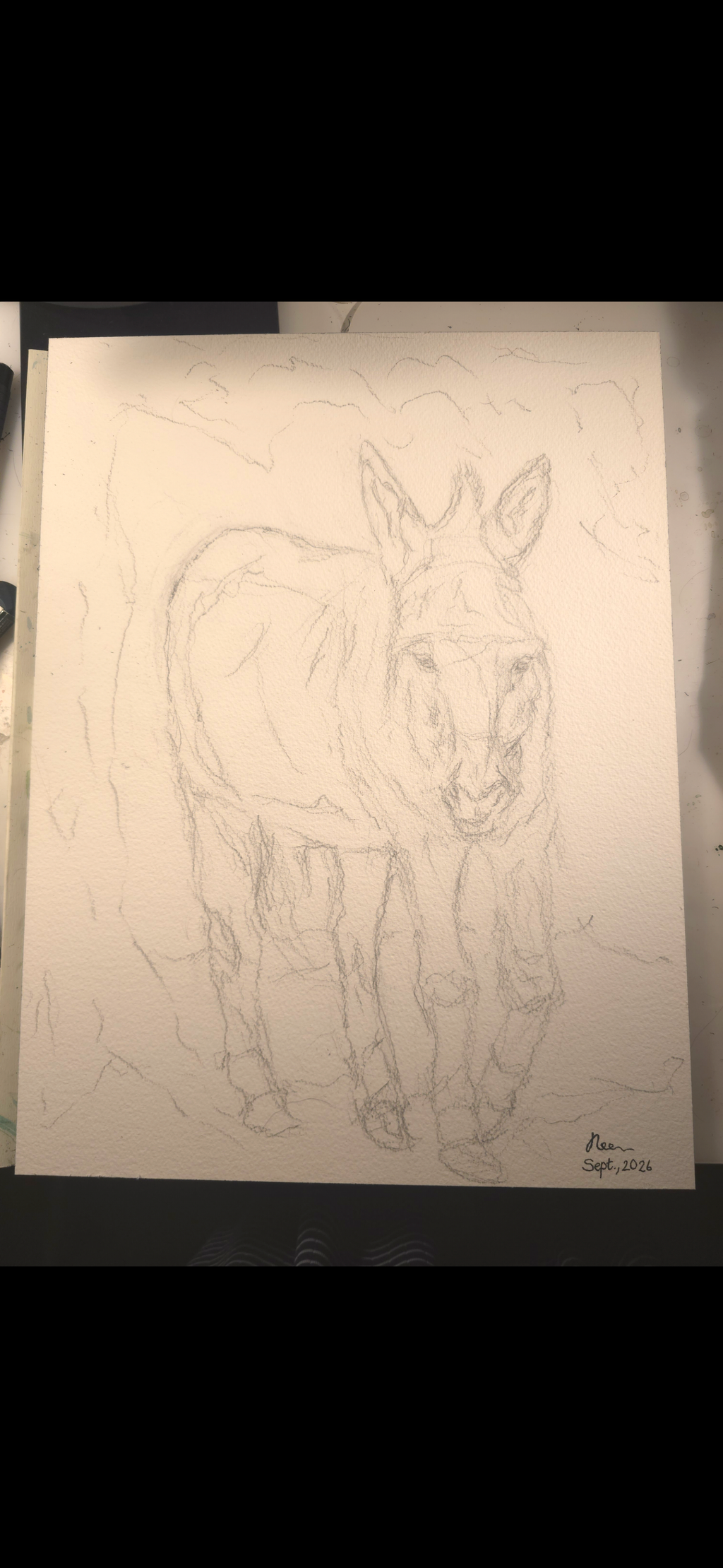 "A Burdened Donkey" - an original mixed-media painting