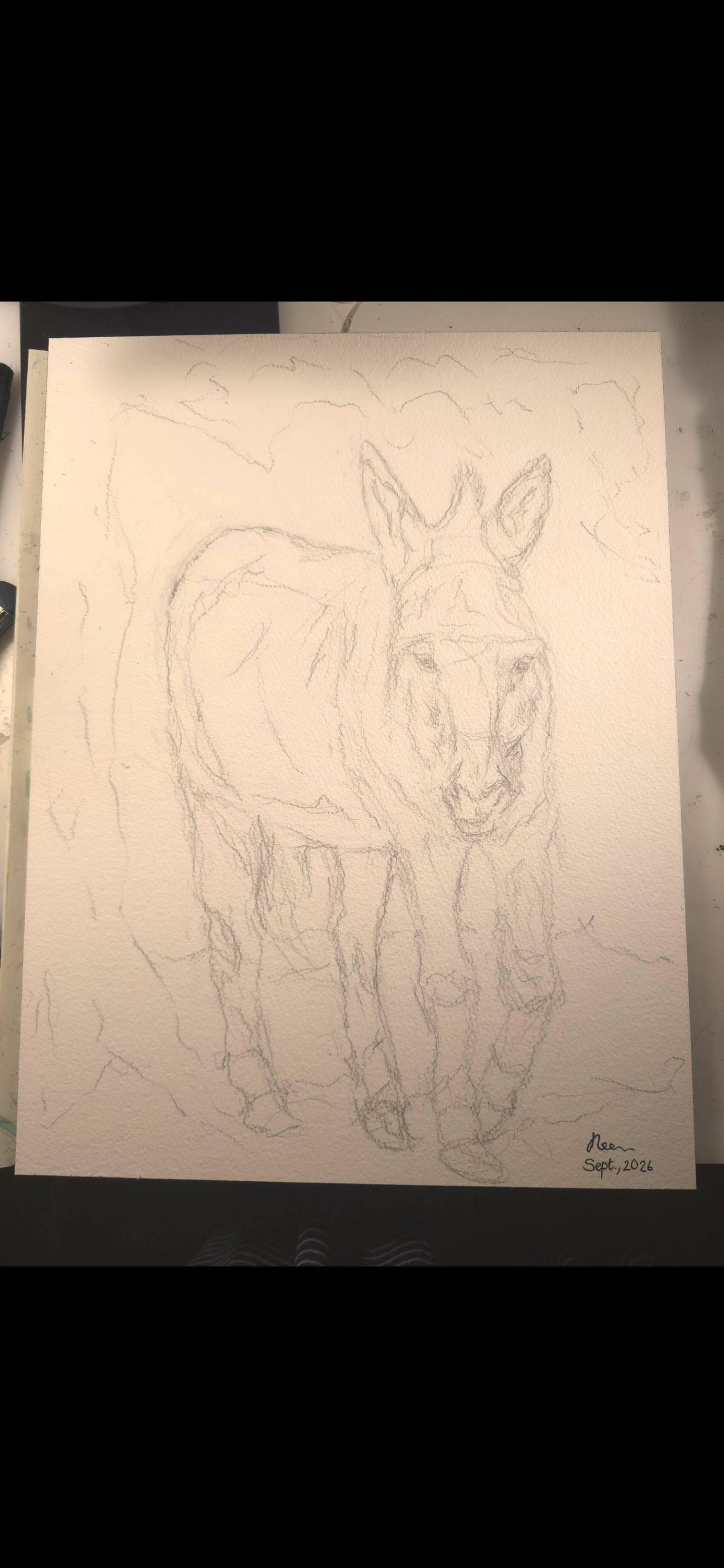 "A Burdened Donkey" - an original mixed-media painting