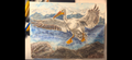 "A Pelican Landing" - an original mixed-media painting