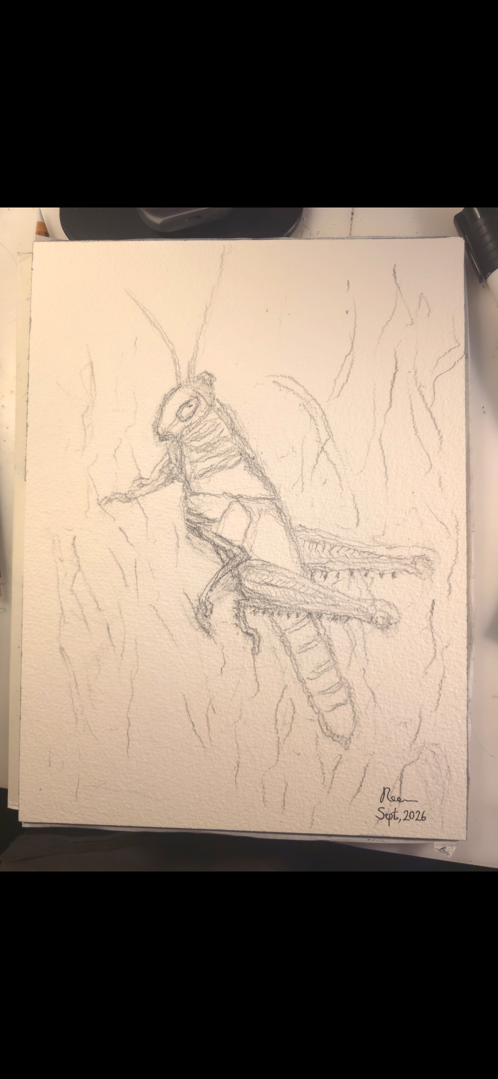 "A Grasshopper" - original mixed-media painting