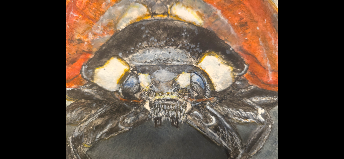 "A Ladybird in the Dark" - an original mixed-media painting