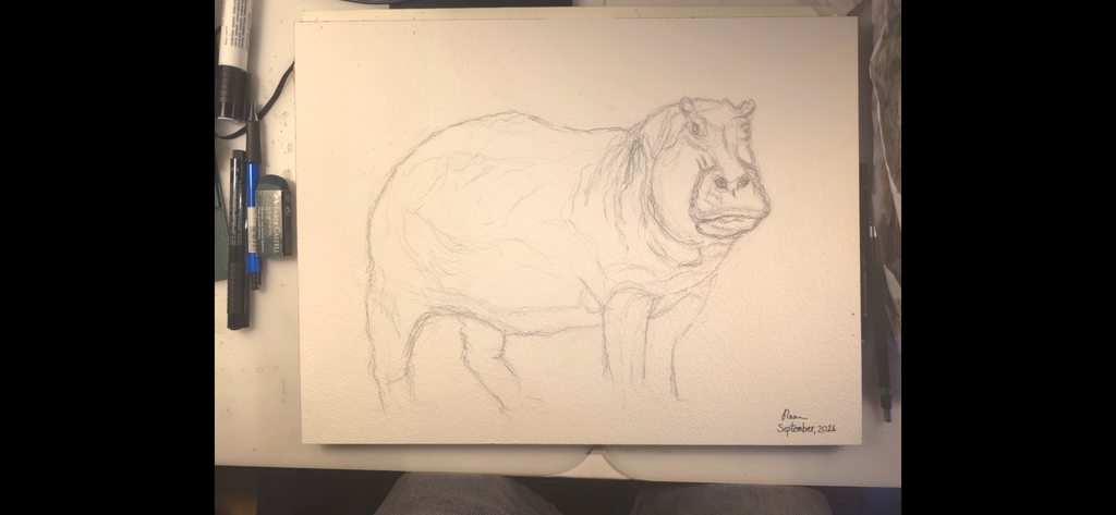 "A Hippo by the Water"