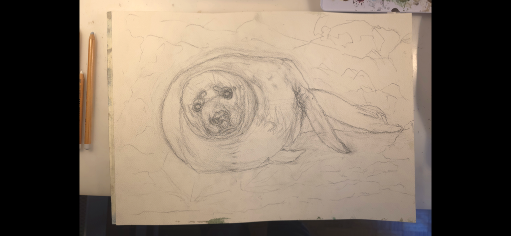 "A Seal at the Seashore" - an original mixed-media painting