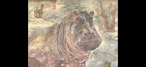 "A Hippo by the Water"
