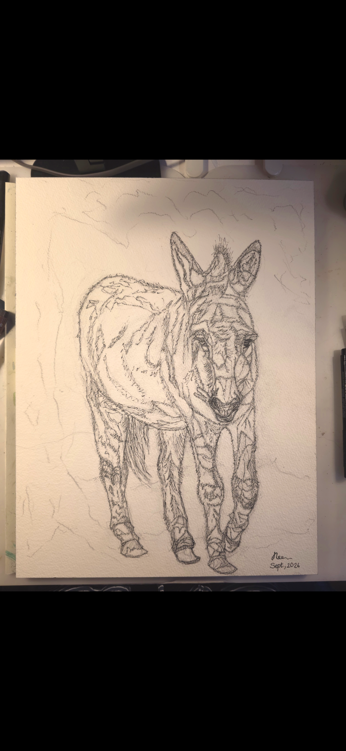 "A Burdened Donkey" - an original mixed-media painting