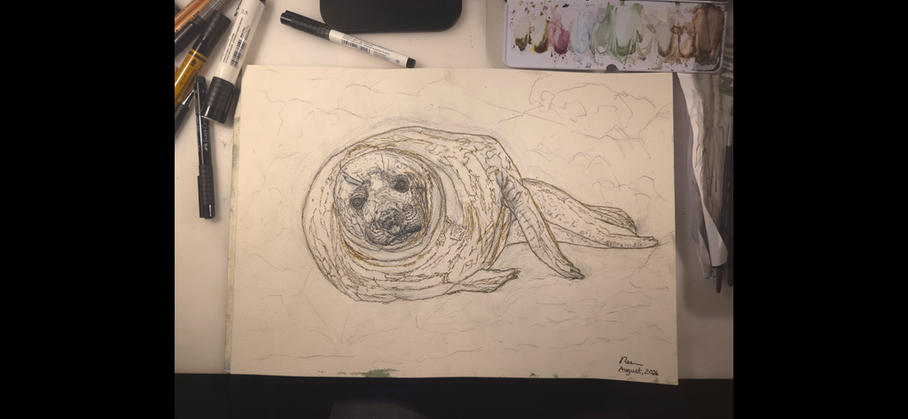 "A Seal at the Seashore" - an original mixed-media painting