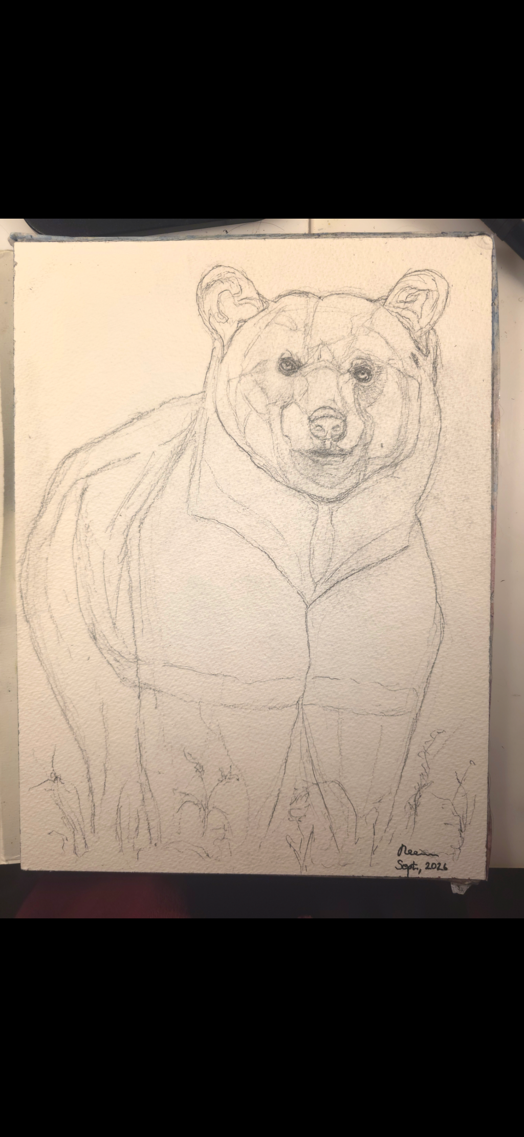 "A Bear in a Meadow" - an original mixed-media painting