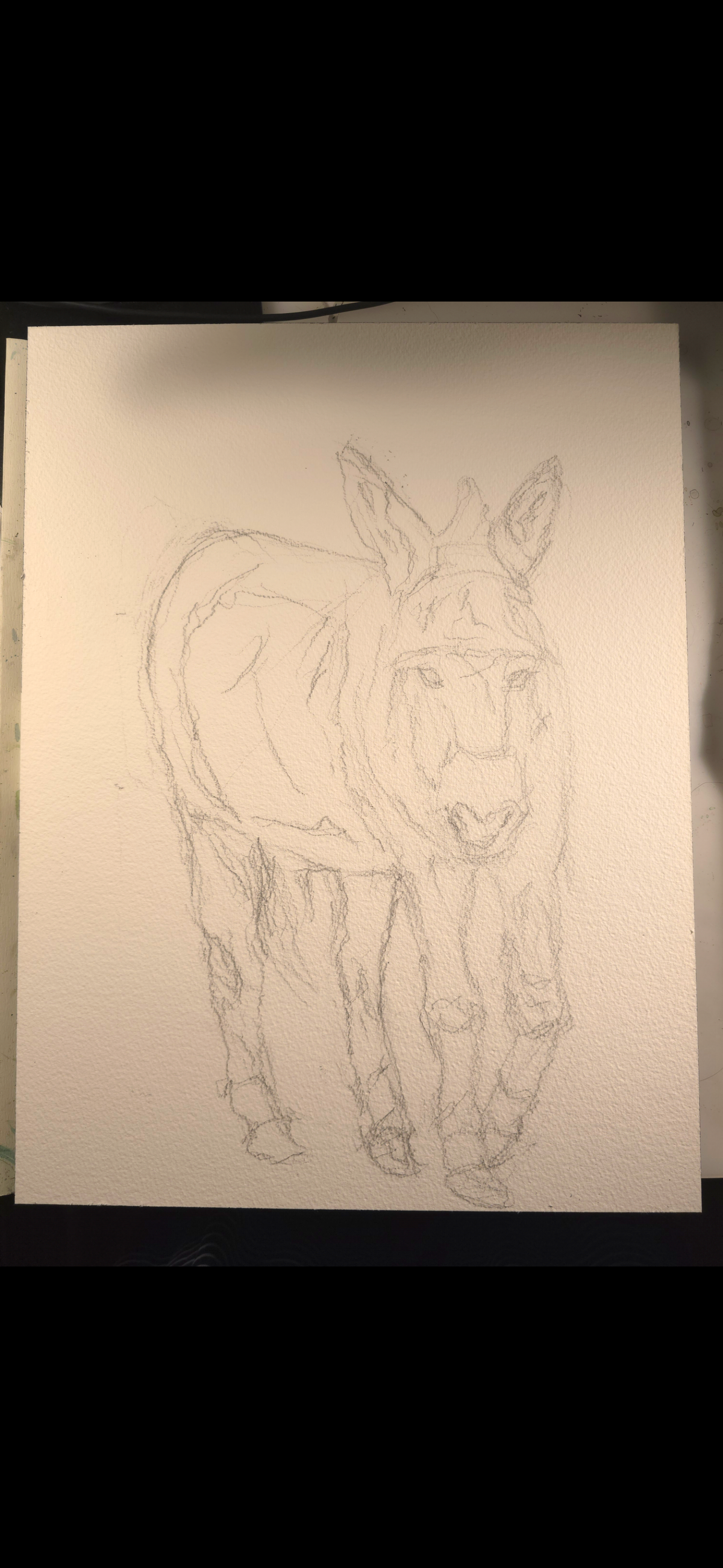 "A Burdened Donkey" - an original mixed-media painting