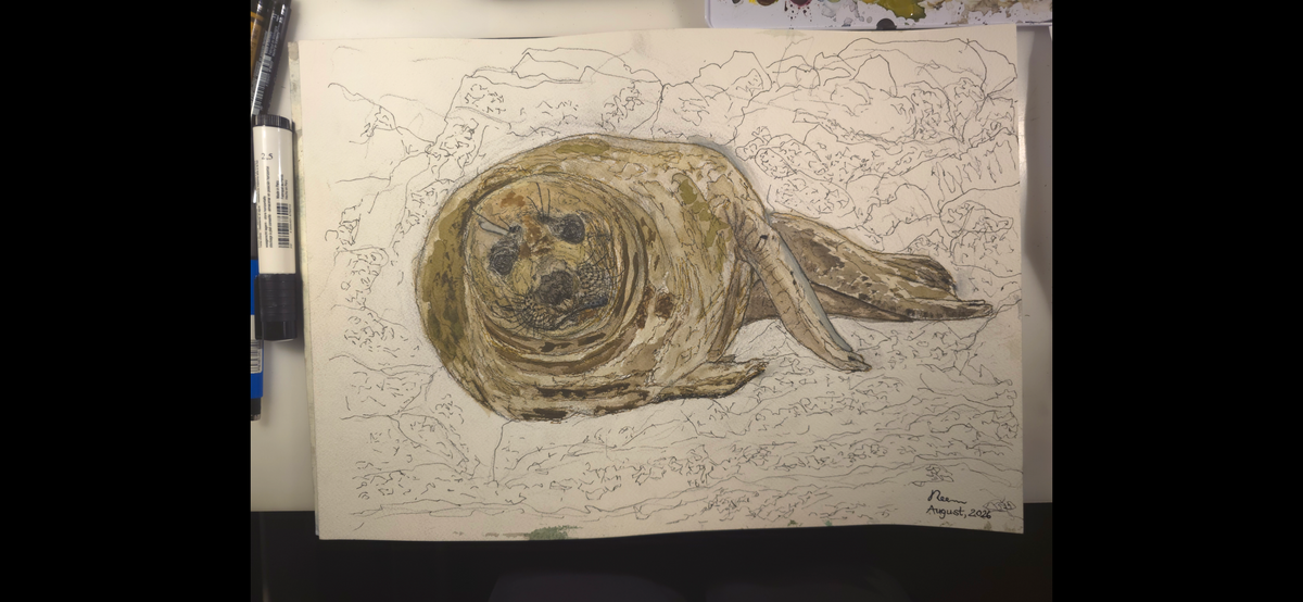 "A Seal at the Seashore" - an original mixed-media painting