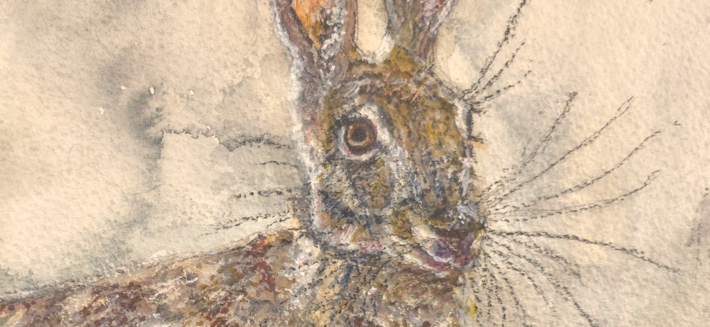 "A Hare in the Dark" - an original mixed-media painting