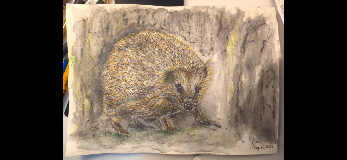 "A Lost Hedgehog" - an original mixed-media painting