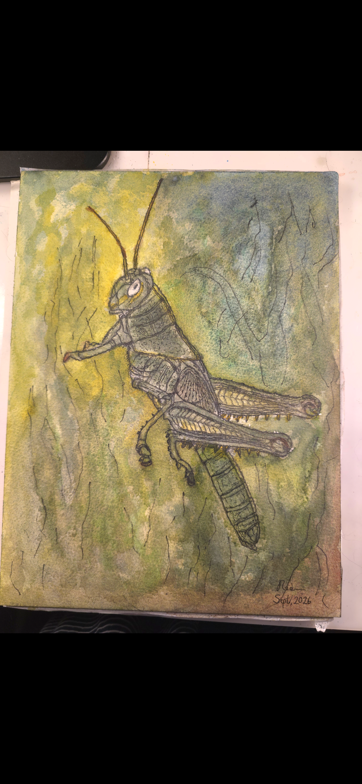 "A Grasshopper" - original mixed-media painting
