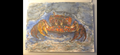 "A Crab Hiding in the Crevice on the Shore" - an original mixed-media painting
