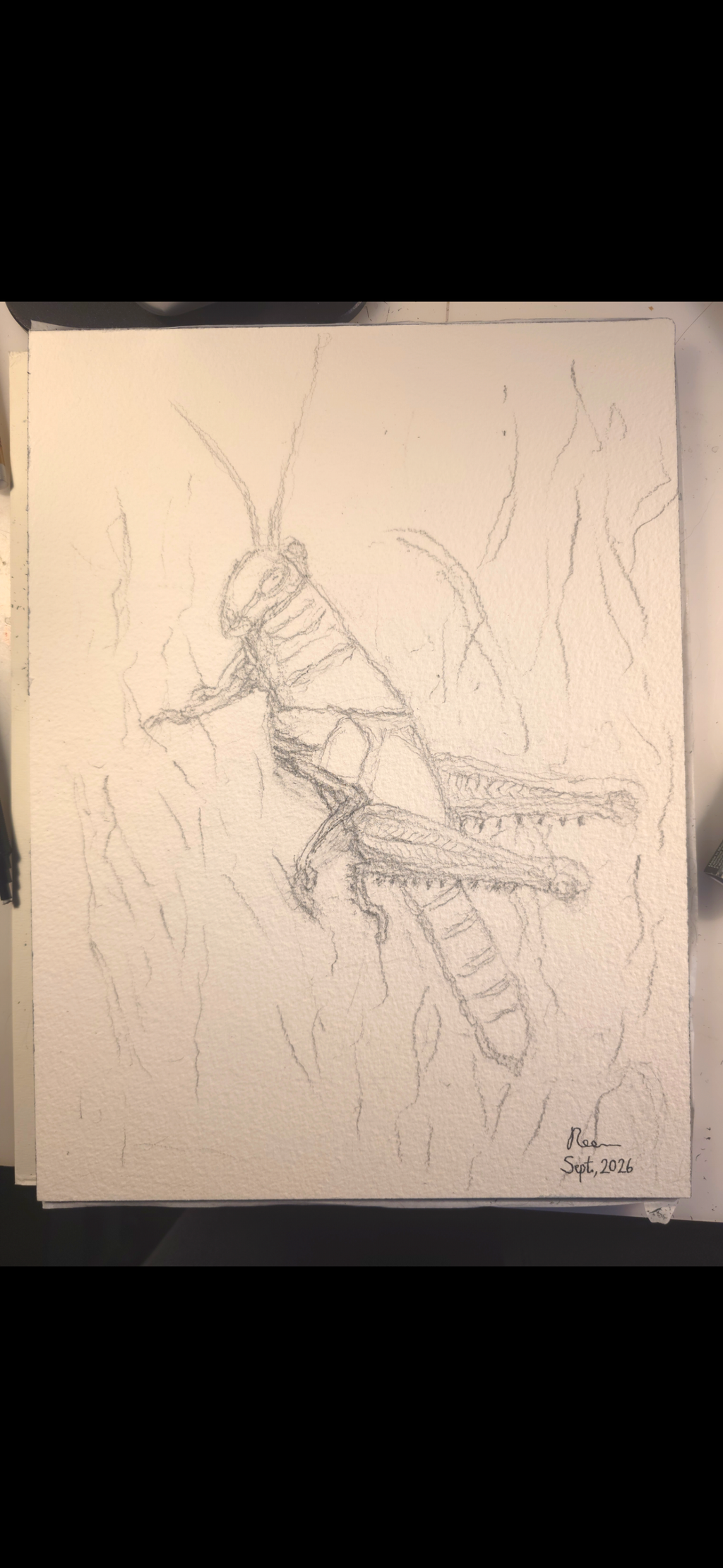 "A Grasshopper" - original mixed-media painting