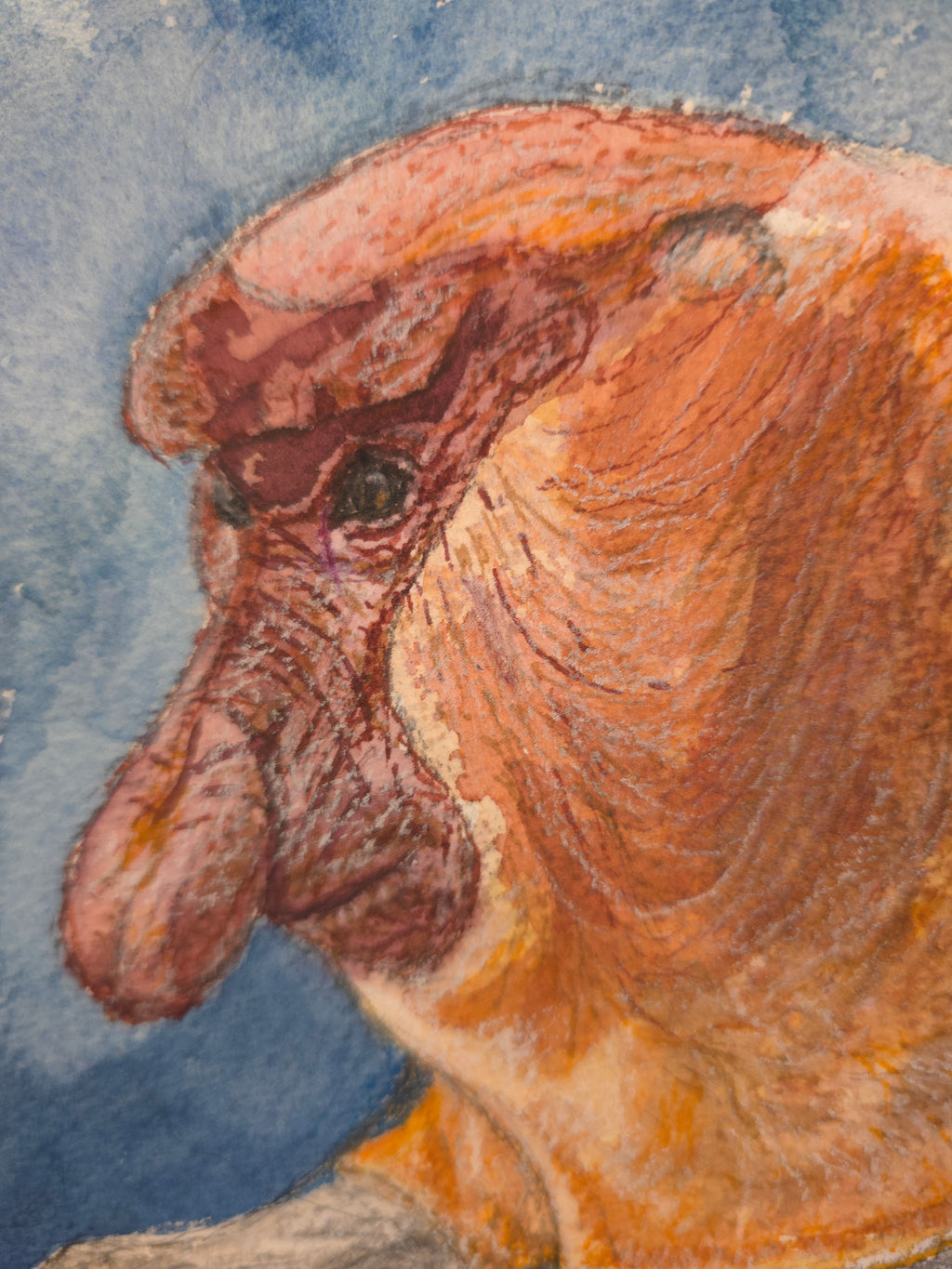 "A Proboscis Monkey Contemplating Life" - an original mixed-media painting