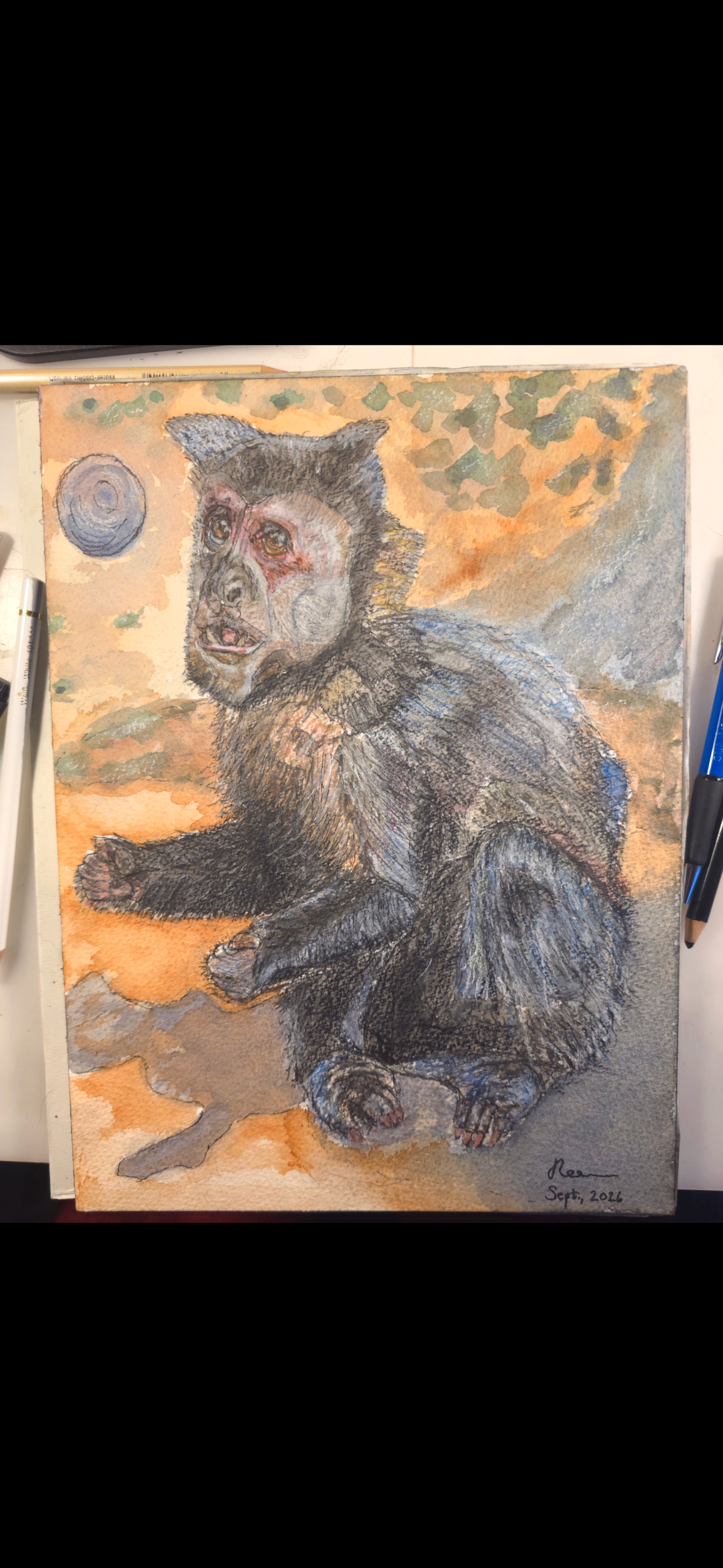 "A Capuchin Monkey in the Weird World"