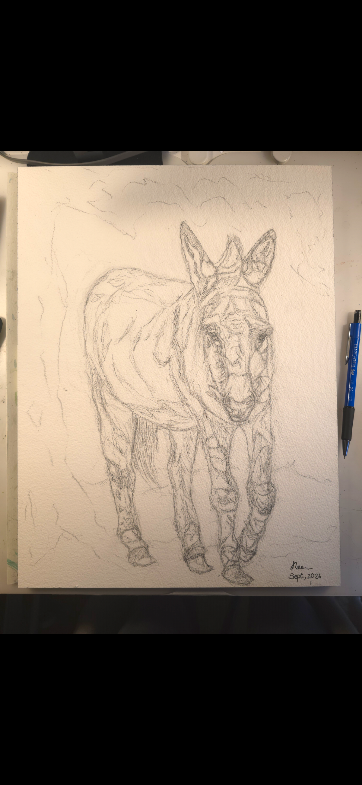 "A Burdened Donkey" - an original mixed-media painting
