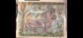 "A Hippo by the Water"