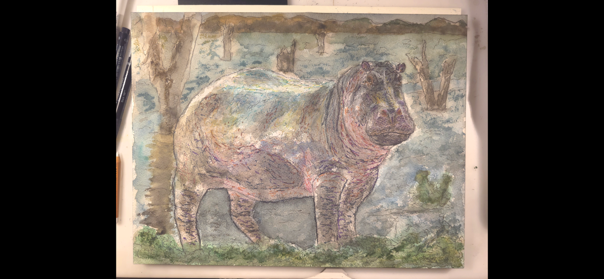 "A Hippo by the Water"