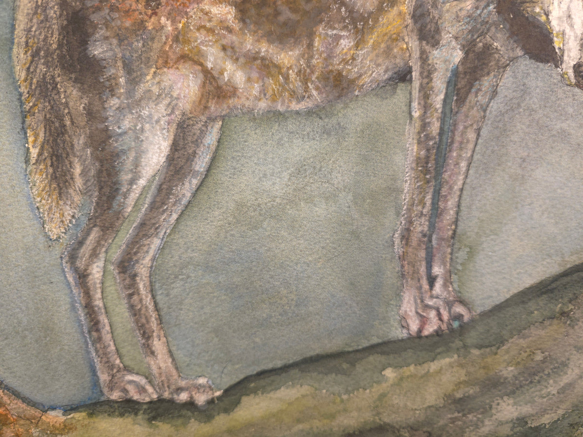 "A Lone Wolf at the Cliff" - an original mixed-media painting