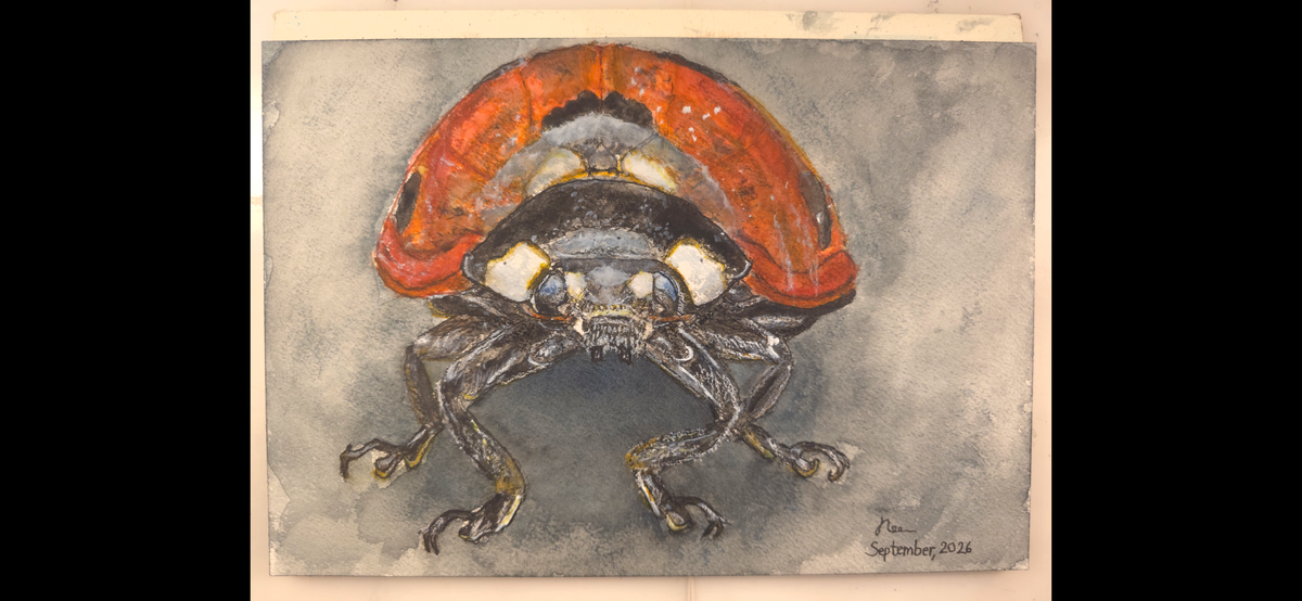 "A Ladybird in the Dark" - an original mixed-media painting